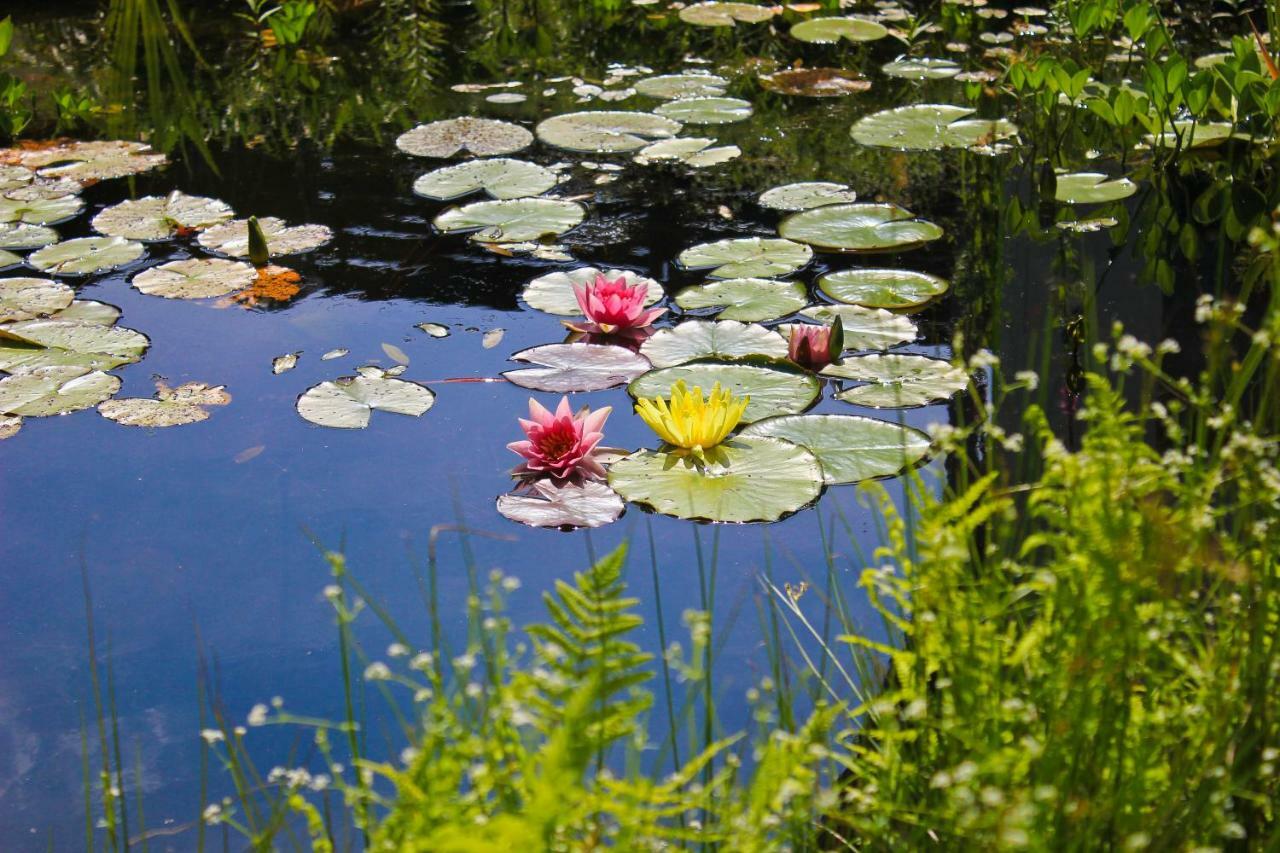 An Der Hainmuehle Lübben Buitenkant foto