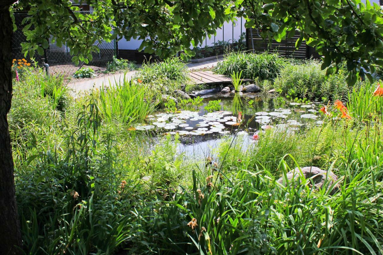 An Der Hainmuehle Lübben Buitenkant foto