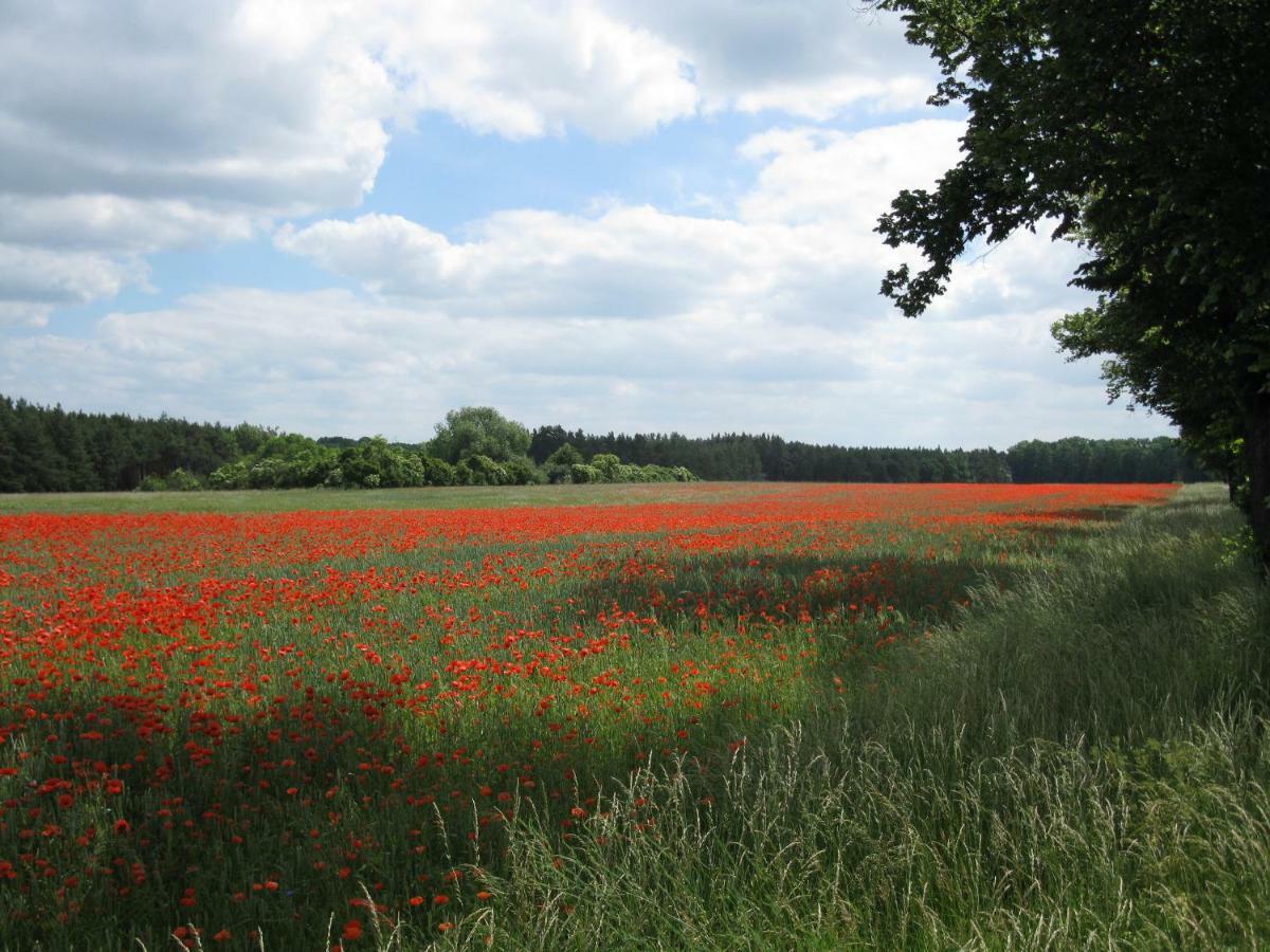 An Der Hainmuehle Lübben Buitenkant foto
